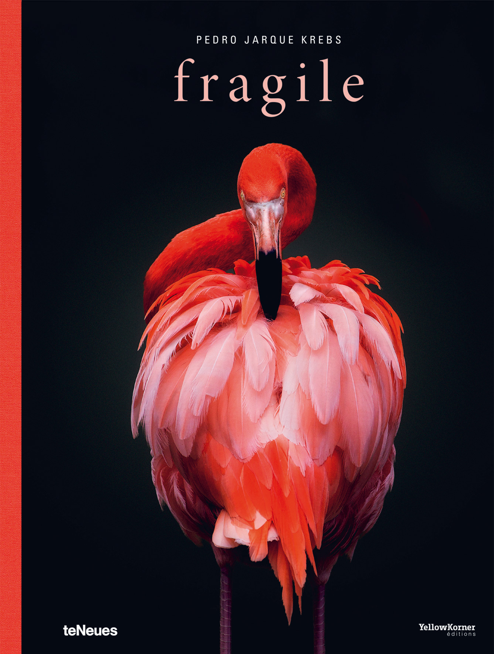 Fragile photography book cover by Pedro Jarque Krebs