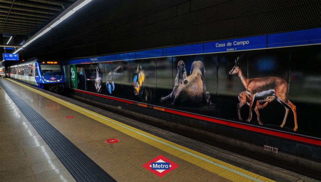 Pedro Jarque wildlife photography exhibition at Madrid Metro