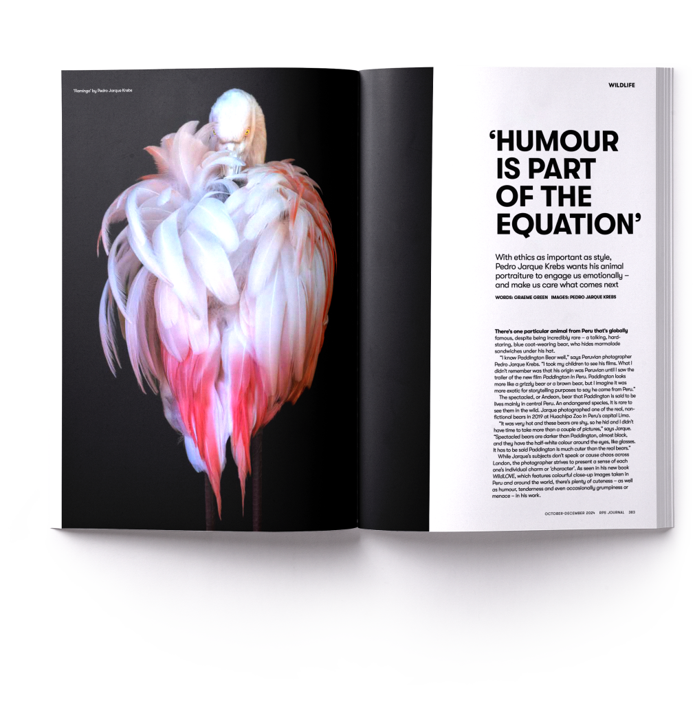 Pedro Jarque wildlife photography feature in RPS magazine