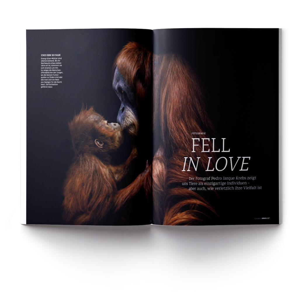Pedro Jarque wildlife photography feature in Stern magazine
